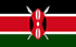 TGM Panel Earn Cash in Kenya